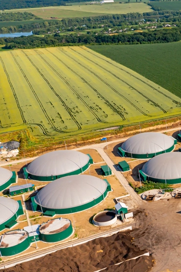 Bio Gas Consultant