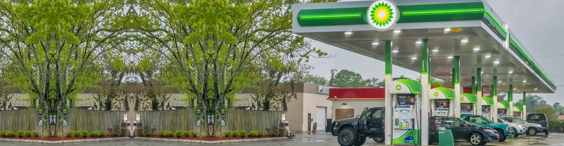 Bio Gas Consultant