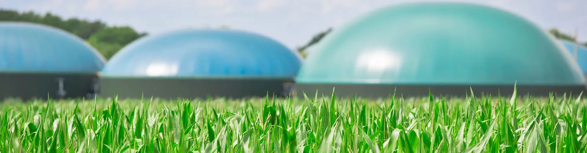 Bio Gas Consultant