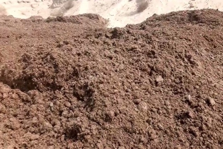 Sugarcane Pressmud